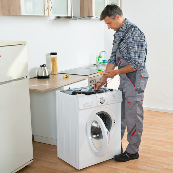 what are common issues that can arise with a washer in Muddy Creek